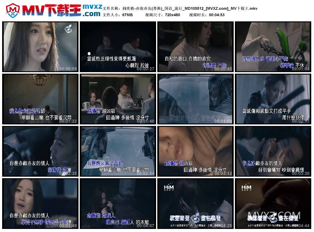 阎奕格-亦敌亦友(替换)_国语_流行_MD105512